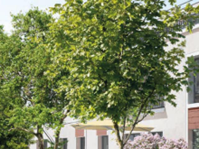 Sarcelles Vente Appartement 95