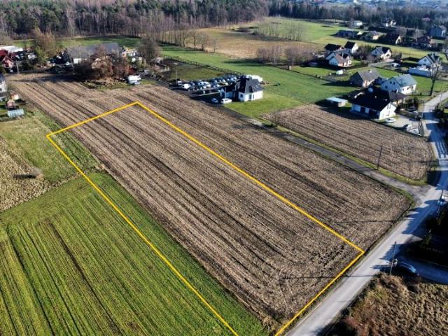 Sarenek 4 000 m², Studzienice