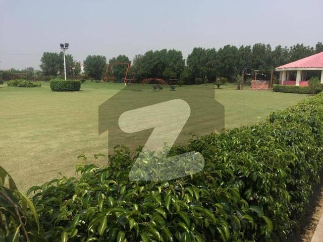 Sarfrazhamid Properties Offers 10 Marla Residential Plot For Sale On Beautiful Location In Phase 8 Block Z3 DHA Lahore