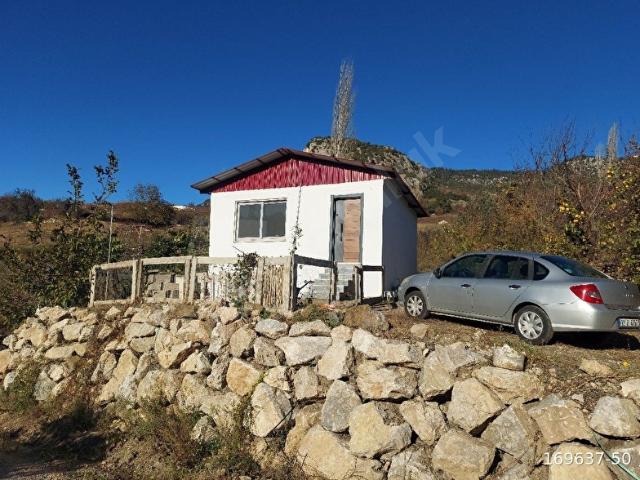 SARİLAR KOYUNDE HESAPLİ ARSA VE 1+1 MUSTAKİL EV