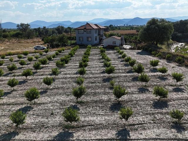 SARICALAR EMLAK'TAN KARADİN MAHALLESİNDE 2500M2 ŞEFTALİ BAHÇESİ