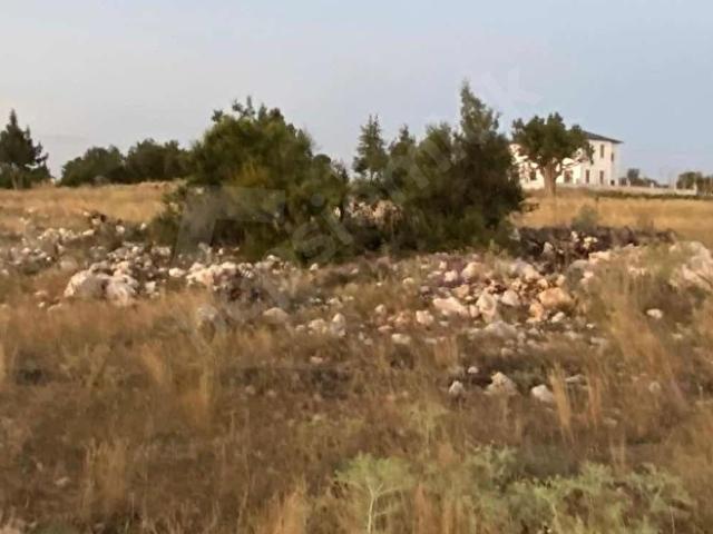 SARIKAYA 2640M2 MÜSTAKİL TAPULU