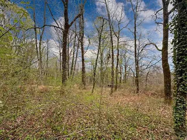 Sarliac sur l'Isle 24420 Achat / Vente terrain