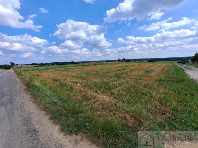 Sarnia 3 452 m², Lublin
