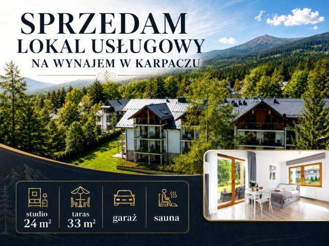 Sarnia 24 m², Karpacz