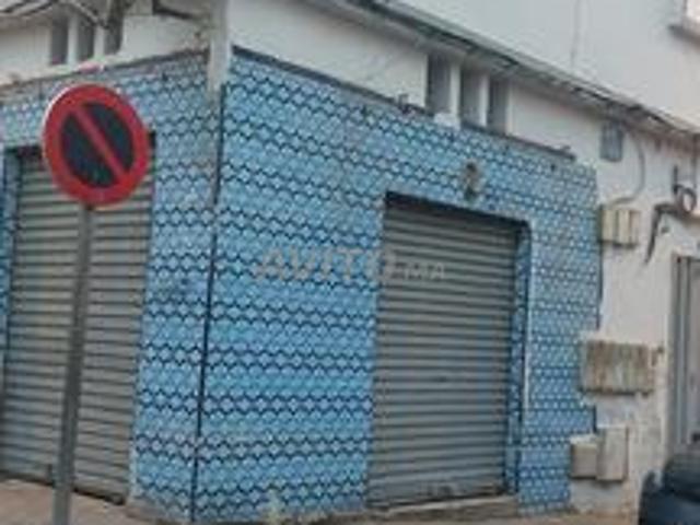 Sarout à vendre