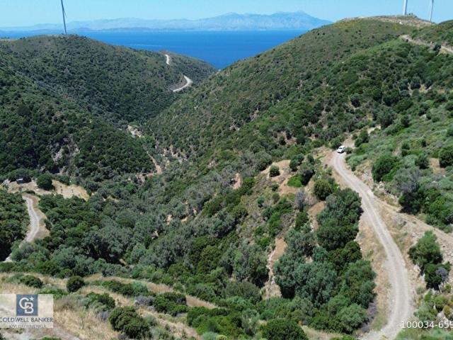 Sarpıncık'ta Deniz Manzaralı 7312 m Yatırımlık Arazi