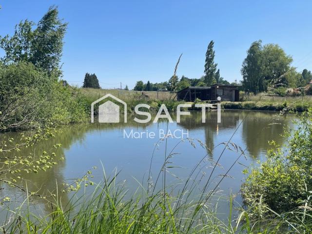 Sarralbe Vente Terrain 57