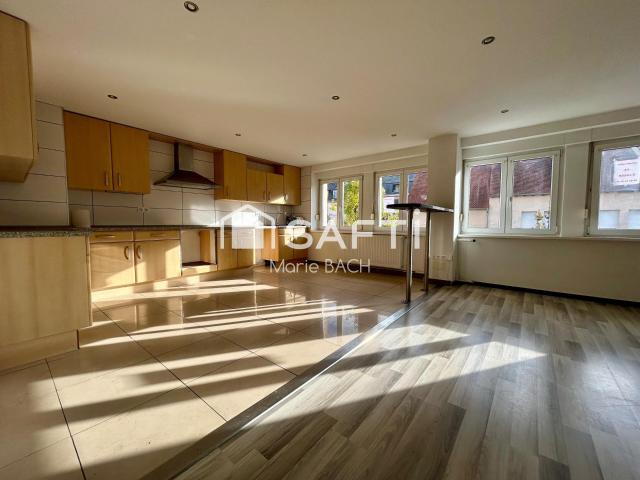 Sarralbe Vente Immeuble 57