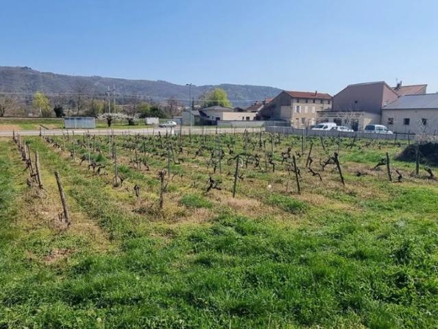 Sarras Vente Terrain 07