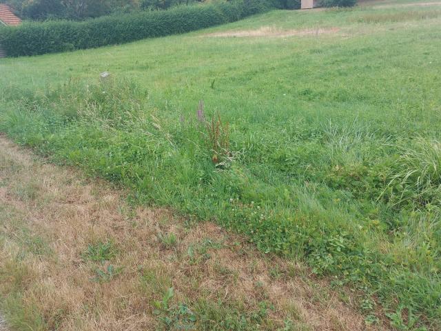 Sarrazac Vente Terrain 24