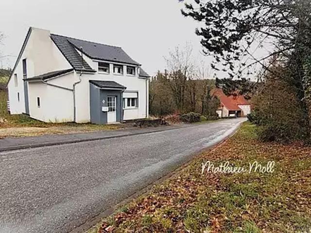Sarre Union 67260 Achat / Vente maison 6 pièces t6 jardin cave