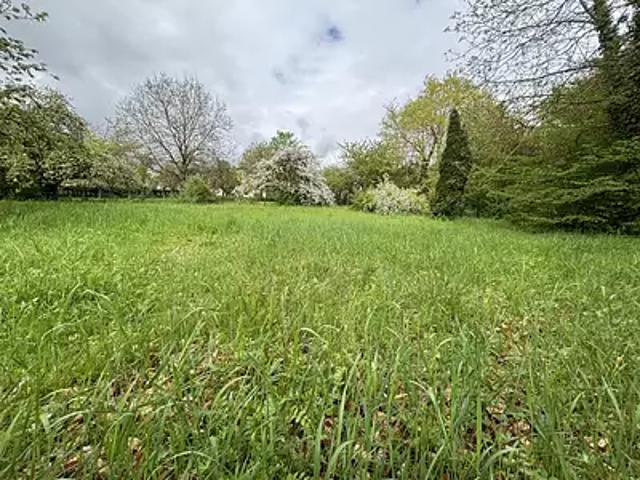 Sarrebourg 57400 Achat / Vente terrain