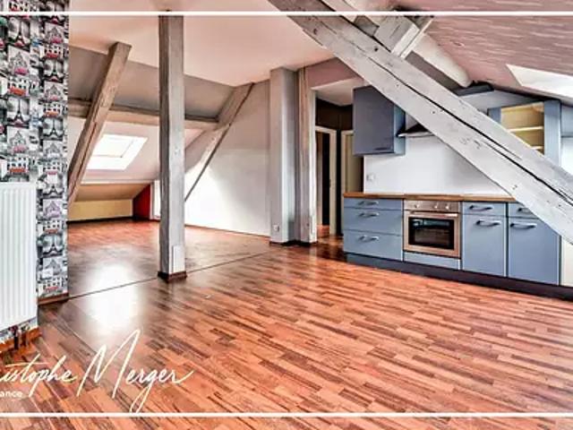 Sarrebourg 57400 Location appartement 2 pièces t2