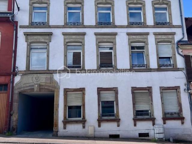 Sarreguemines Vente Immeuble 57