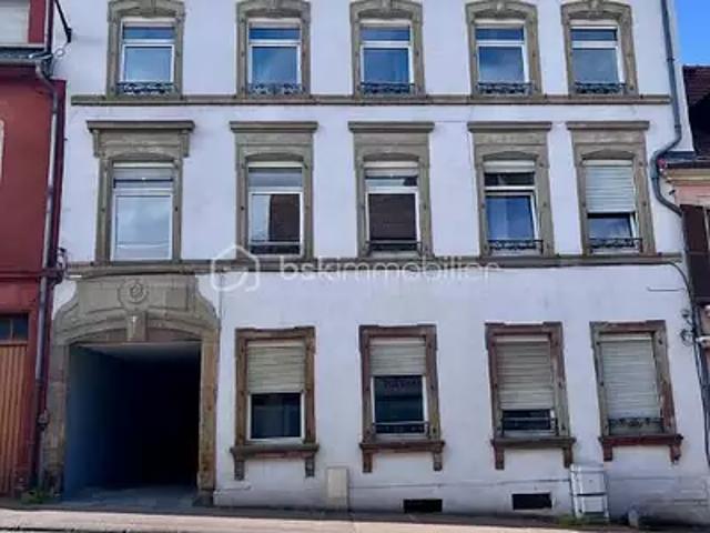 Sarreguemines 57200 Achat / Vente immeuble
