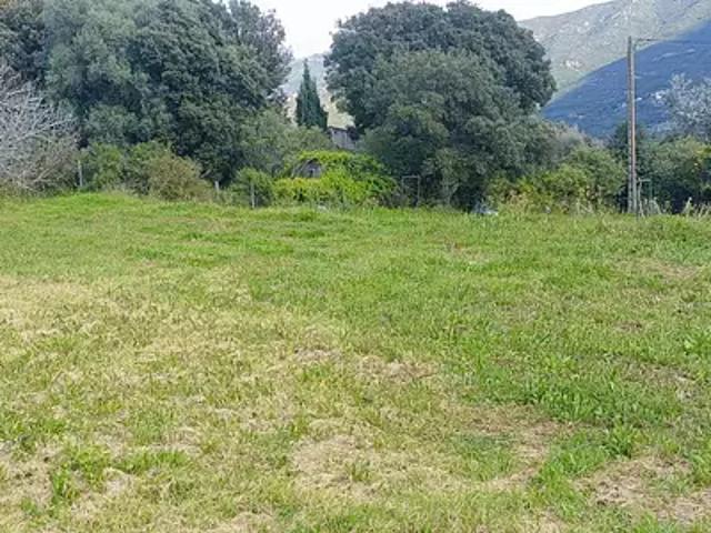 Sarrola Carcopino 20167 Achat / Vente terrain