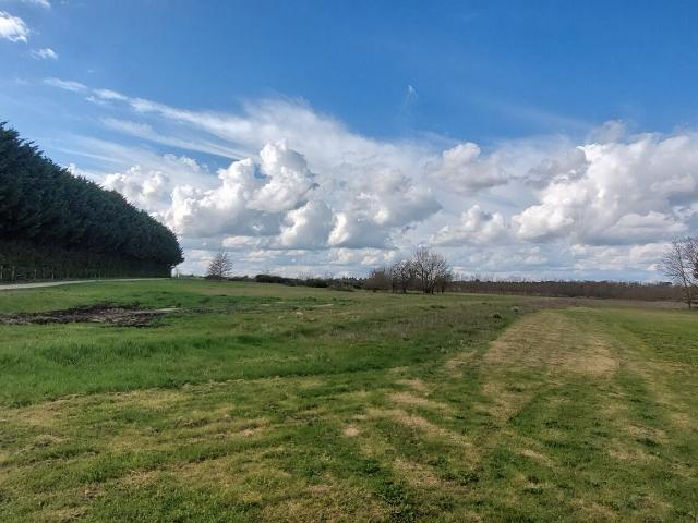 Sassay Vente Terrain 41