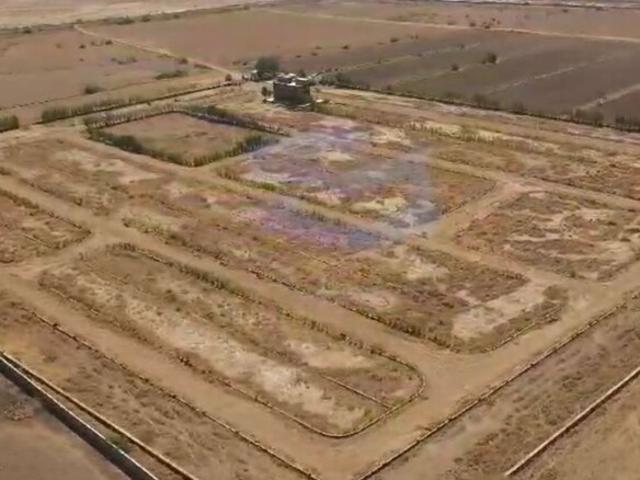 Satyaja Infratech 150 Sq.Yd. Plot in Dholera Ahmedabad Listing ID: #9967