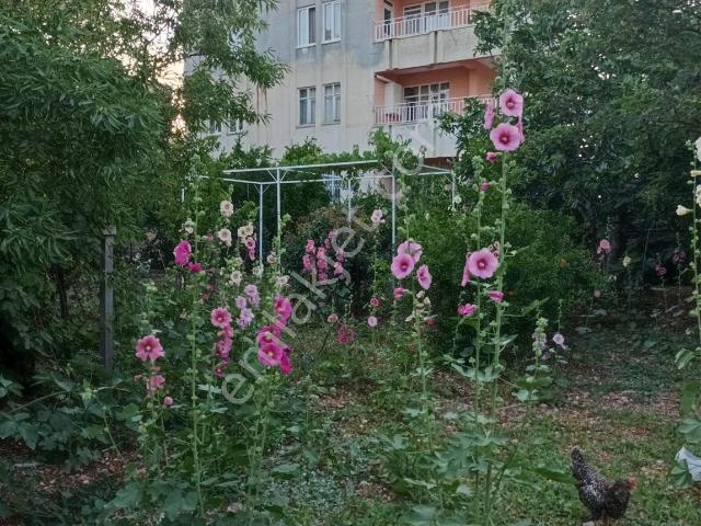 Satılık Müstakil Bina,bodrum Kat Dahil 5 Katlı Müstakil