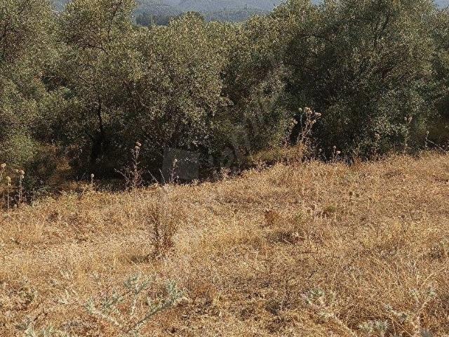 Satılık Arsa İmarlı Ruhsatı Alınmıştır