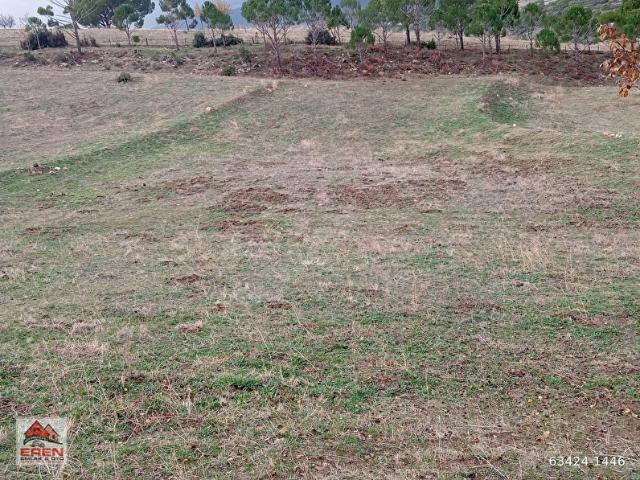 satılık kurucuovada 17730m2 tarla yola sıfır