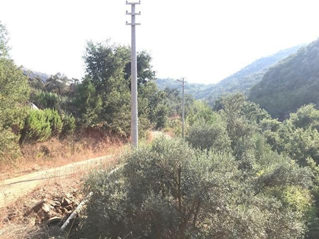 Satılık kurulu düzen bahçe