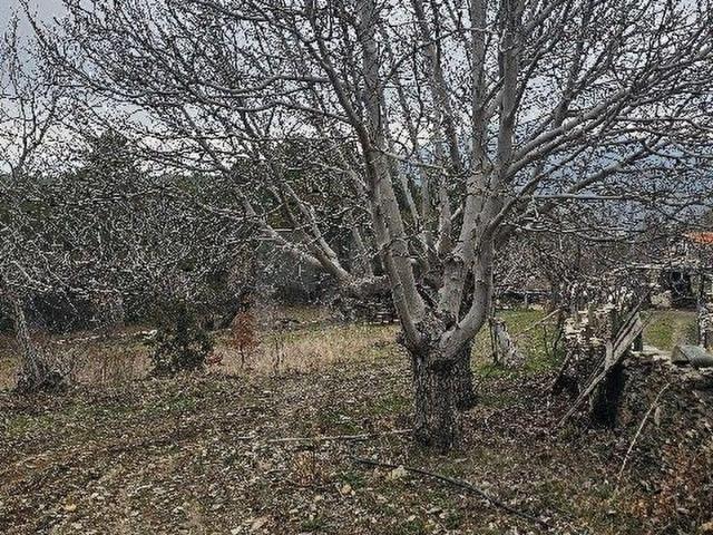 Satılık Tarla
