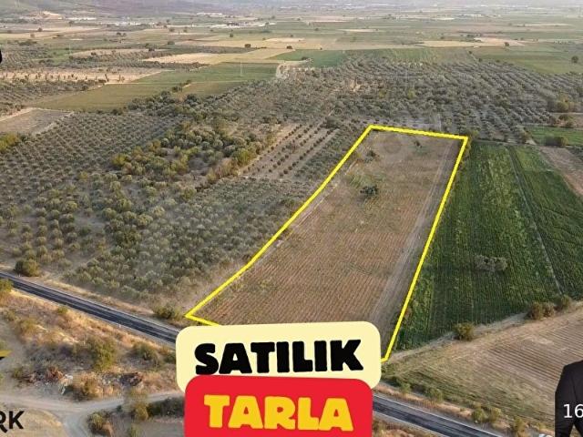 Satılık 15.969 m2 Asfalt Yola Cepheli Tarla