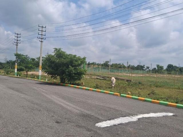 Sathnur, North Bangalore 1200 Sq.Ft. Plot in Sathnur Bangalore Listing ID: #10377