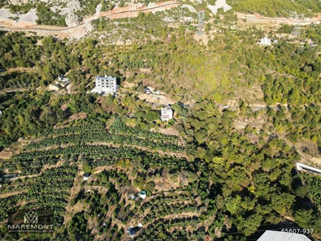 SATILIK MÜSTAKİL TARLA ANTALYA ALANYA KESTEL YAYLALI