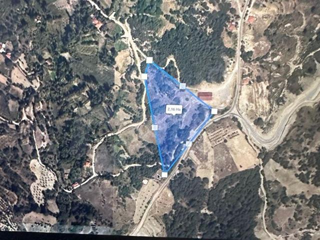 SATILIK DOKUZ ÇAMDA 14163M2 TARLA