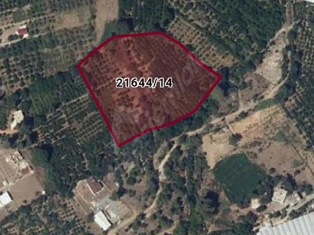 SATILIK HİSSELİ TARLA KONYAALTIAŞAĞI KARAMAN KÖYÜ 2100m