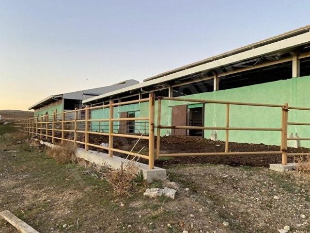 SATILIK ÇİFTLİK 57.654m2 ÜZERİNDE HAZIR KURULU KONUMDA ŞEREFLİKOÇHİSAR AKARCA MAHALLESİ