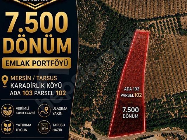 SATILIK KARADİRLİKTE VERİMLİ FIRSAT TARLA