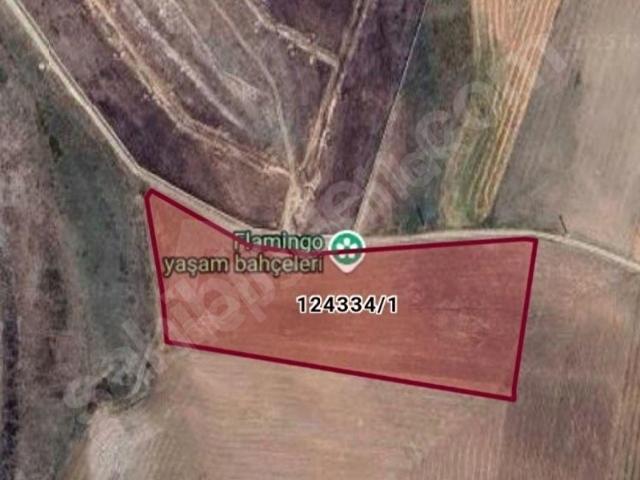 SATILIK TARLA 16625M2 GÖLBAŞI YAĞLIPINAR KÖK TAPU,TEK TAPU,KÖŞE