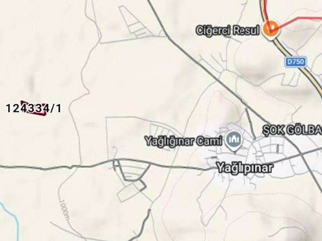 SATILIK TARLA 16625M2 GÖLBAŞI YAĞLIPINAR KÖK TAPU,TEK TAPU,KÖŞE