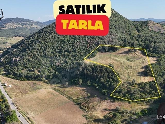 SATILIK TARLA 17.924 M2