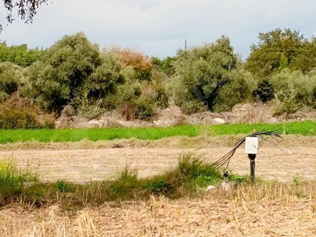 SATILIK TARLA