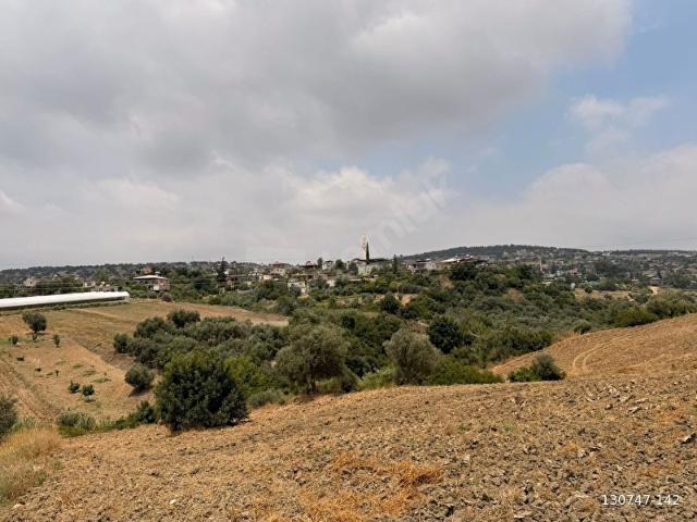 SATILIK TARLA