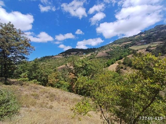 SATILIK TEK TAPU TARLA ARAZİ 5.552 M2 TAKAS OLUR