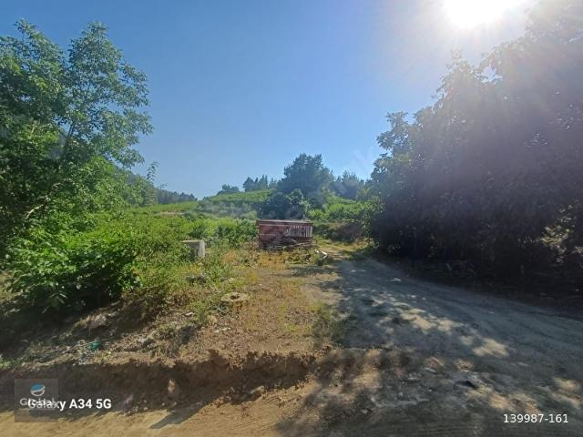 SATILIK TOROSLARDA 23.500 M2 NEKTARİN BAHÇESİ