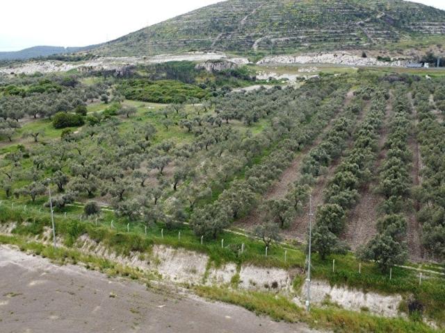 SATILIK YATIRIMLIK TARLA İZMİR ALİAĞA BOZKÖY