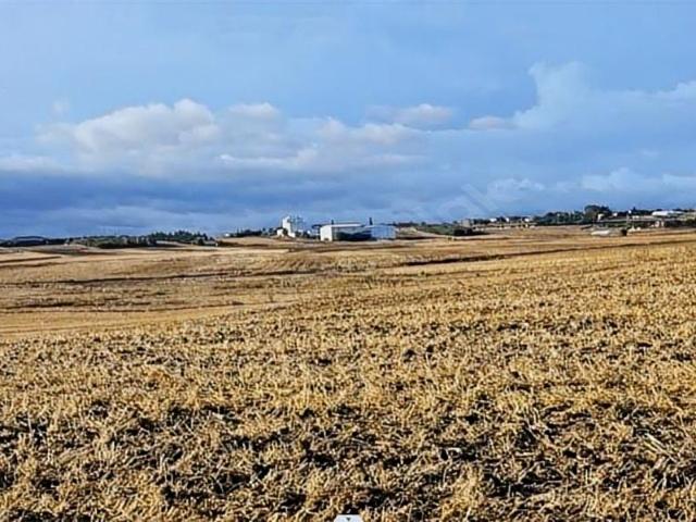 SATILIK 19 DÖNÜM TARLA BÜYÜK DÖNÜM ARAYANLARA DUYRULUR