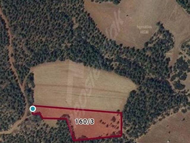 SATILIK 5893 M2 TARLA ANTALYA KORKUTELİ YAZIR