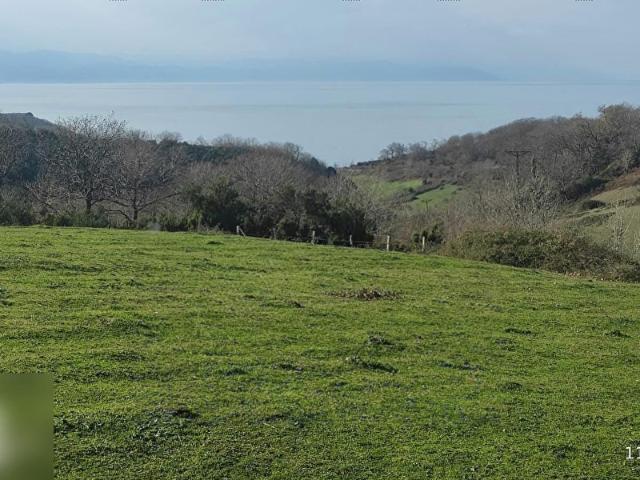 SATILIK 6000 M2 FULL DENİZ MANZARALI TEK TAPULU TARLA YOLA CEPHE