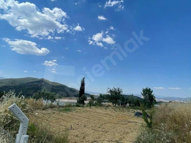 SATILIK 761m2 HOBİ BAHÇESİ YATAĞAN MUĞLA