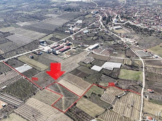 SATILIK 7950 m2 TARLA