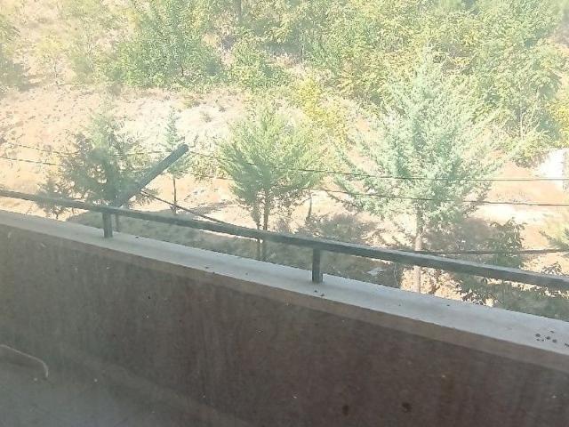 satlık daire