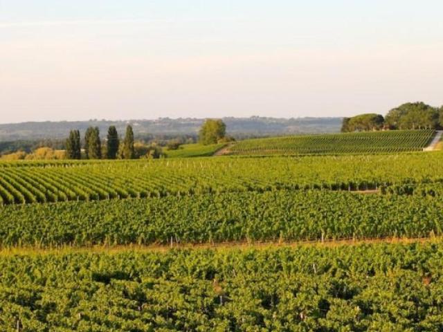 Langon Vente Propriété/château 33